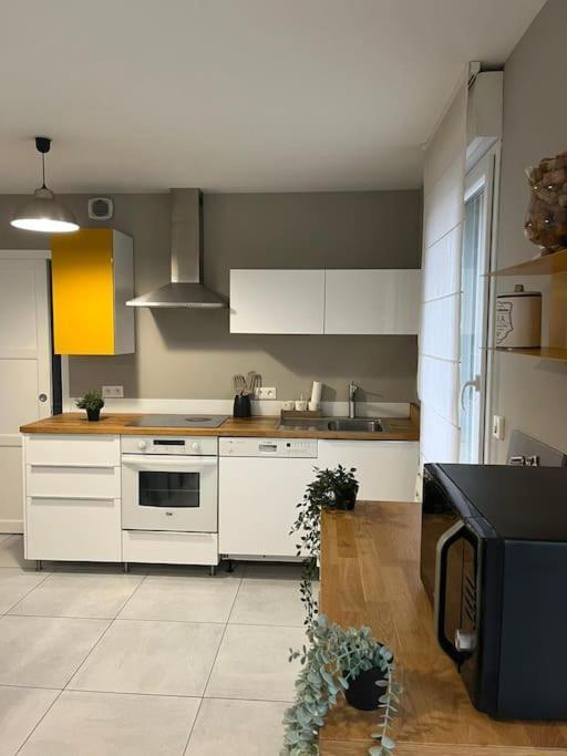 La Maison Du Bonheur 70 M² Saint-Amand-les-Eaux Eksteriør billede